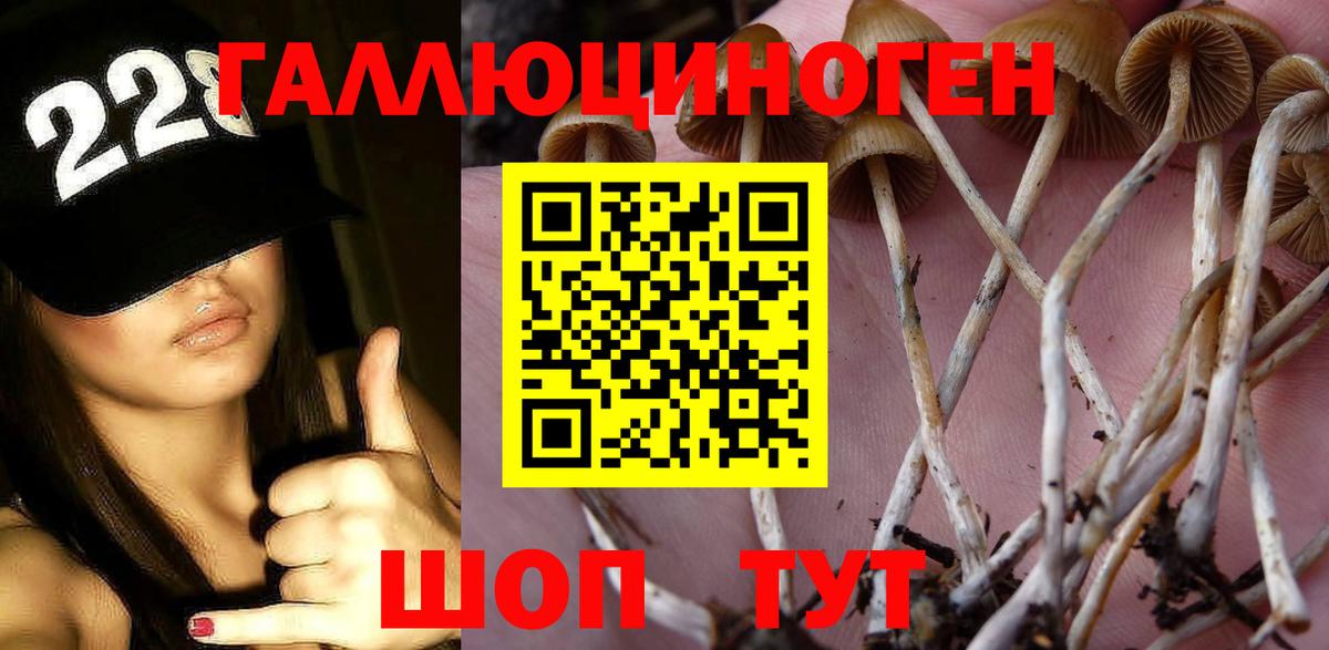 Псилоцибиновые грибы Magic Shrooms  Вход с VPN  Галлюциногенные грибы Magic Shrooms  Кумертау 